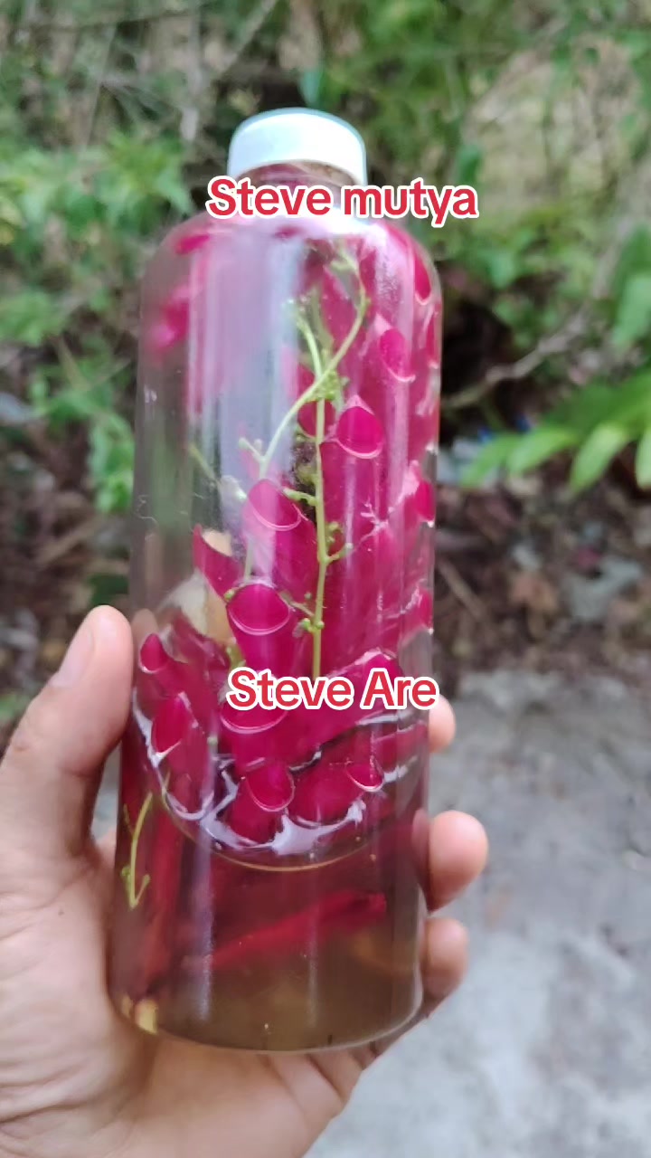 @Steve Mutya