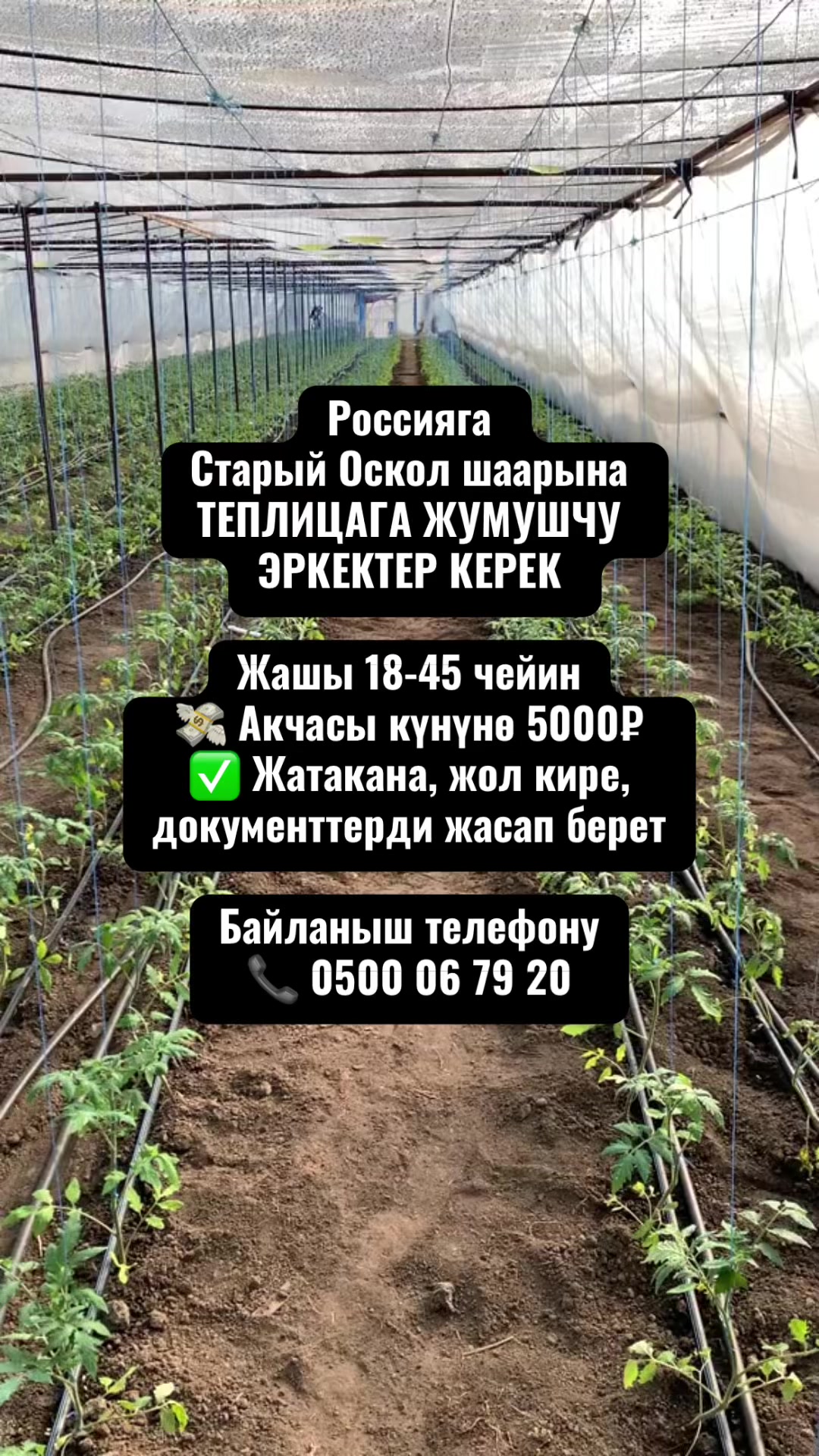 @Радиоузел Бишкек