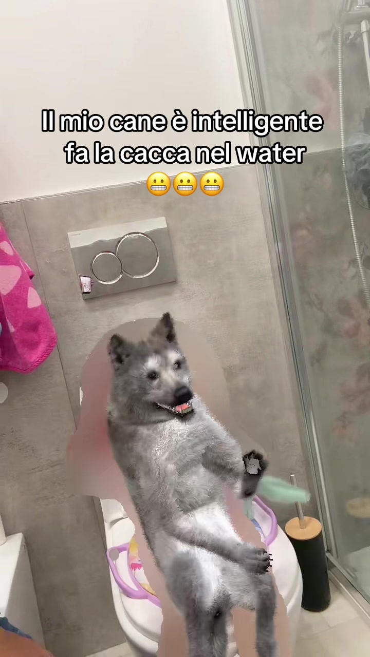 @Samuele Solarino
