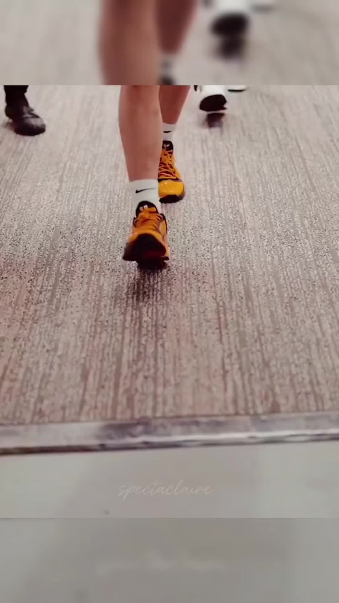 @bbbibi