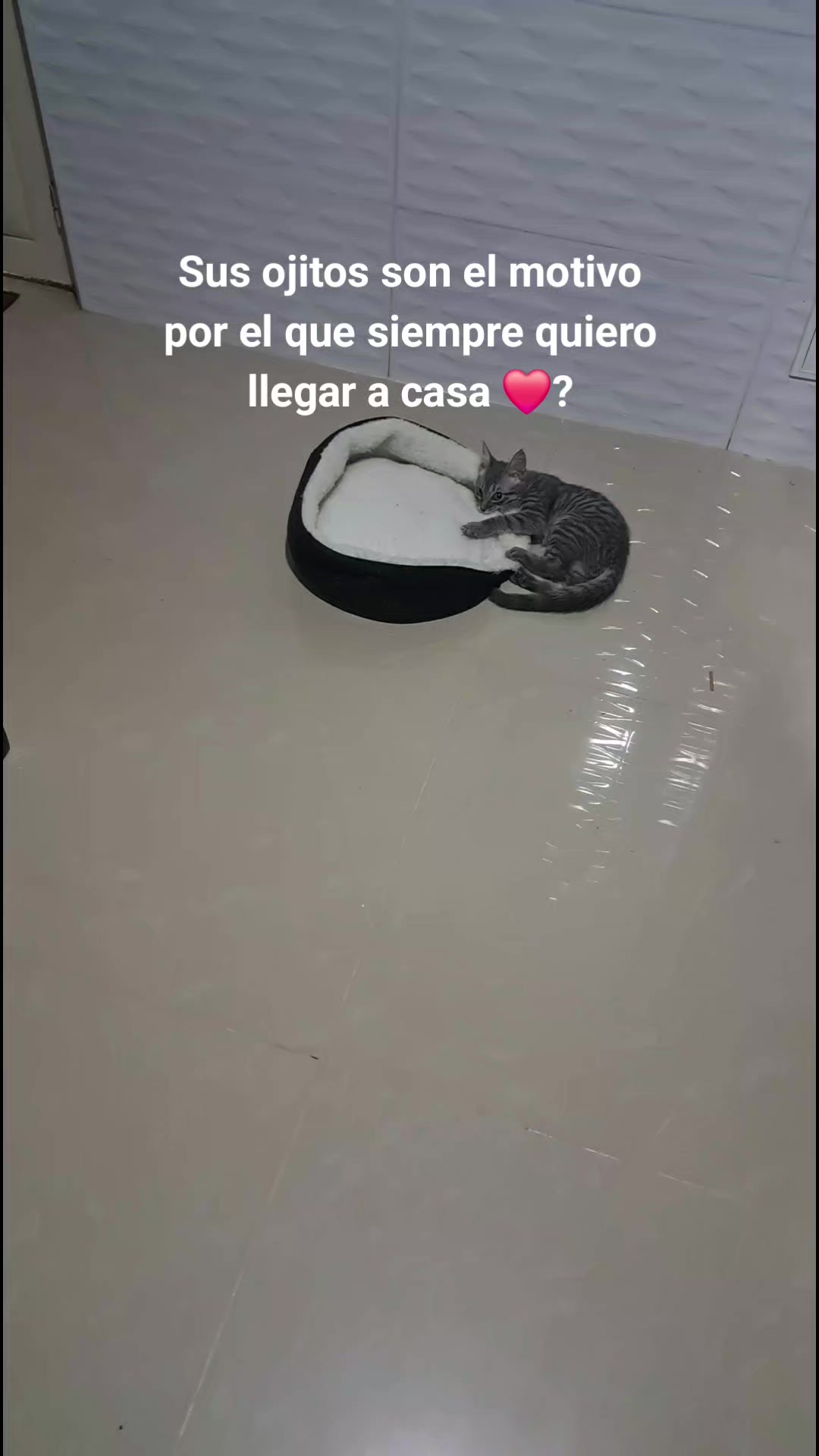 @Yelisse Pedraza