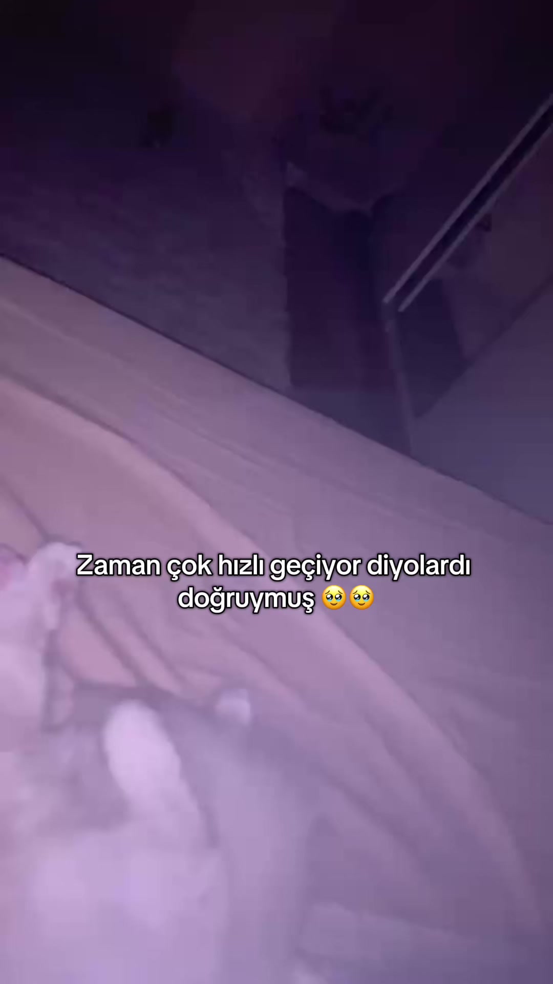 @simge  üner