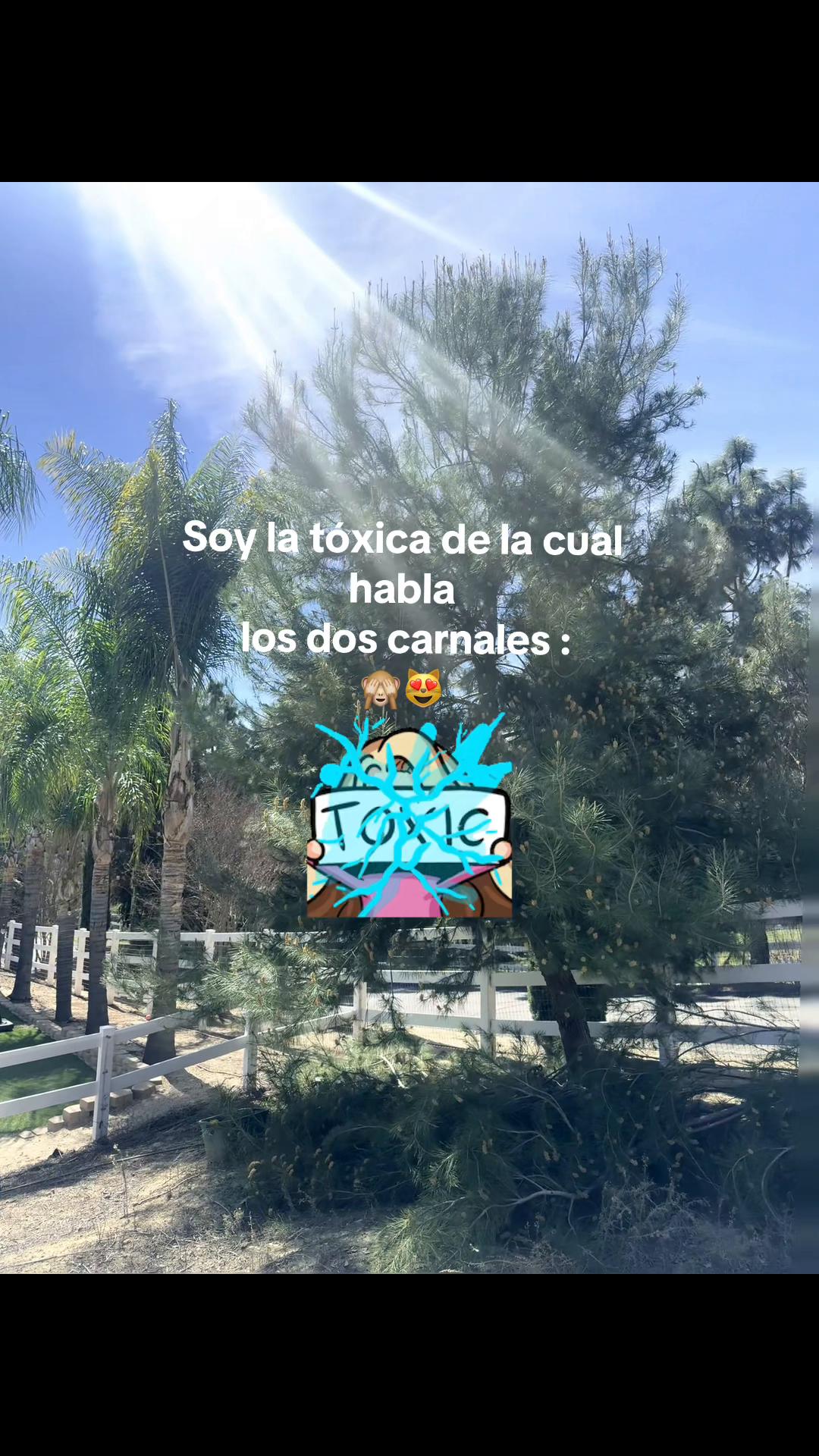 @videos_randoms0101