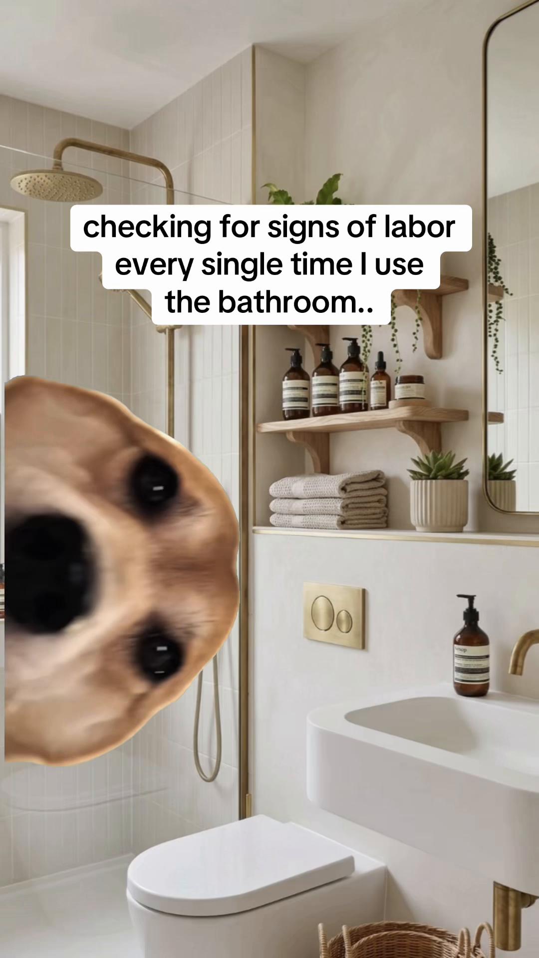 @Maddog Braddog
