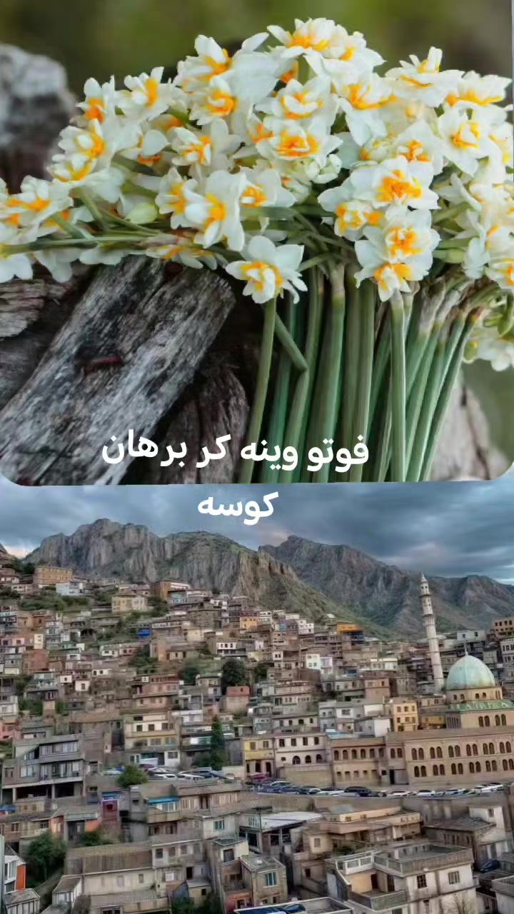 @brhan akrayi
