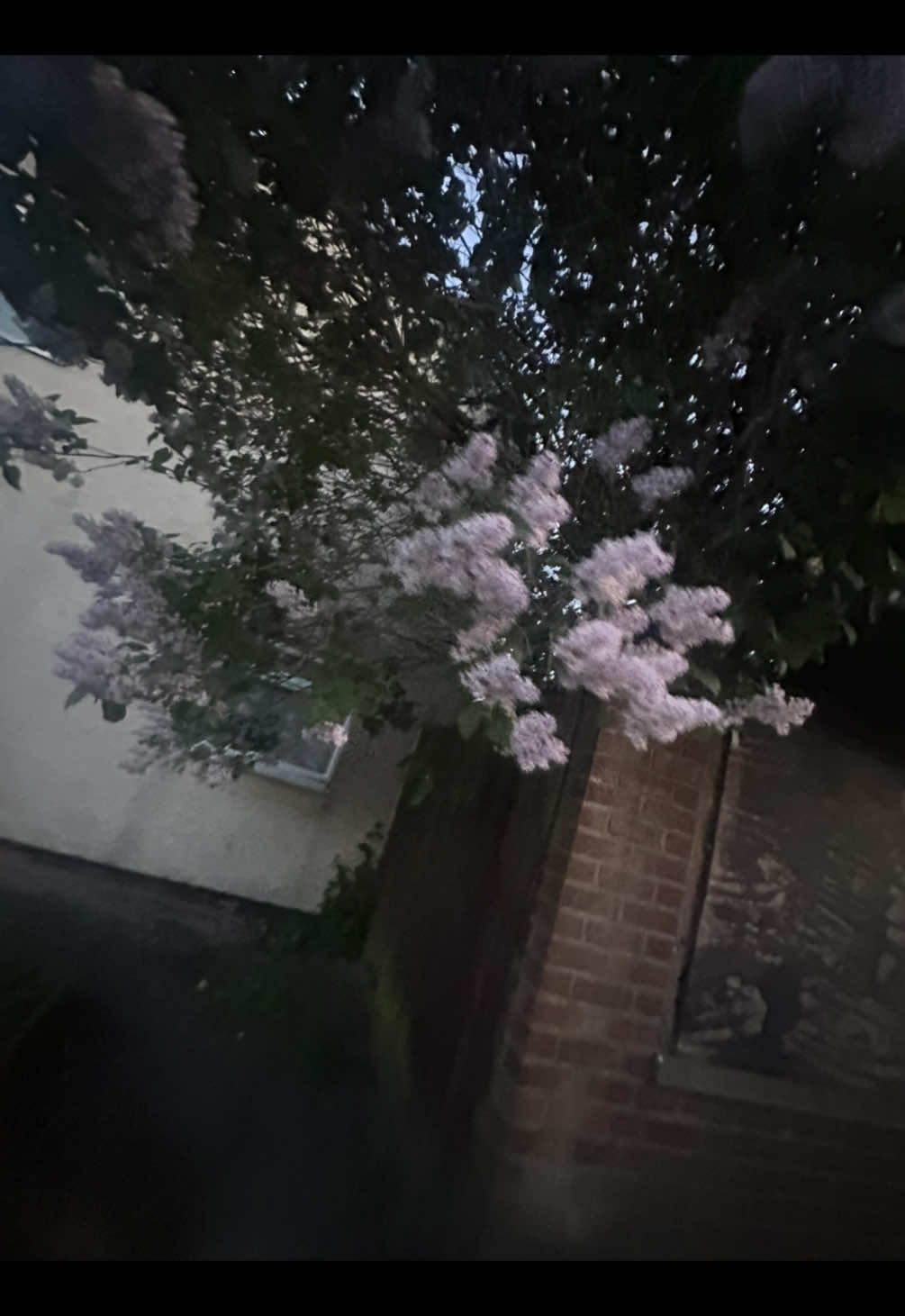 @𝒕𝒊𝒔𝒉𝒂𝒓𝒏𝒂𝒔𝒑𝒂𝒎𝒎