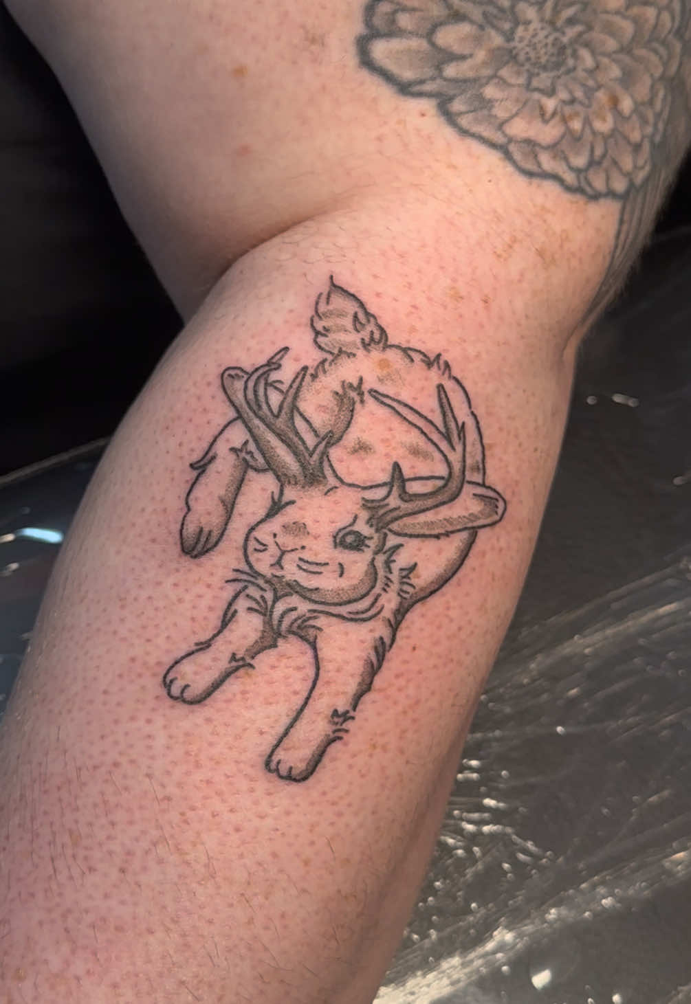 @bbywitch tattoos 🪲