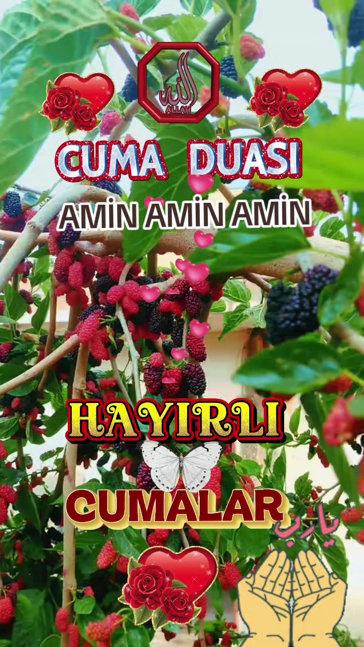 @🇹🇷҉͜͡✭DAMLA🦂G&Uuml;L🇦🇿҉͜͡✭