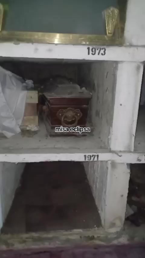 @🦇𝕸𝖎𝖘𝖆🦇