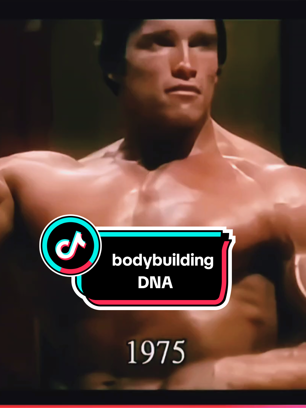 @bodybuildingDNA