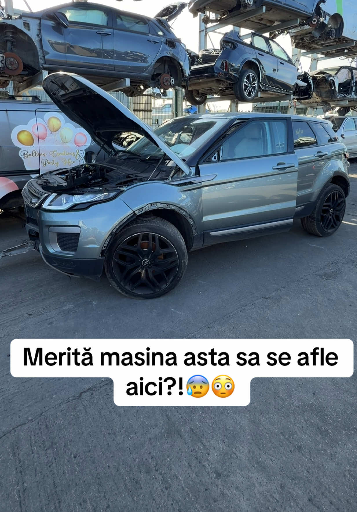 @Black One