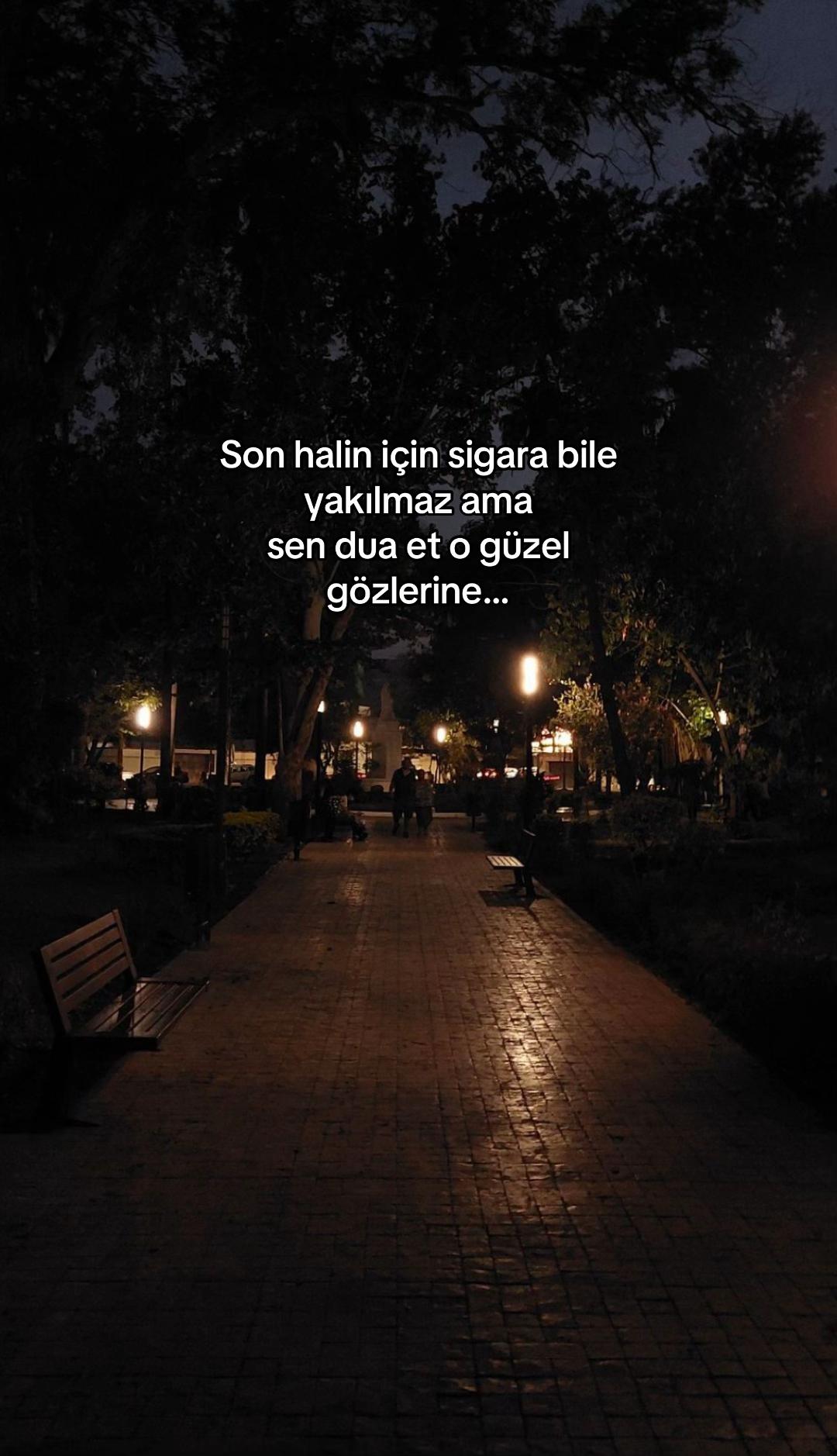 @seviyorgibiydin24