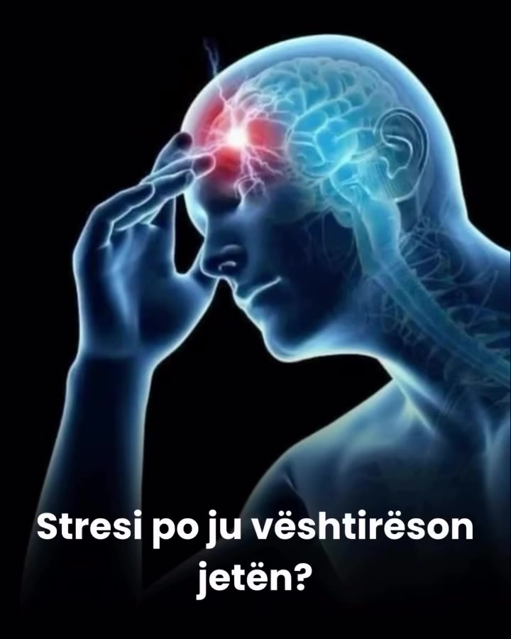 @Neyda Bio