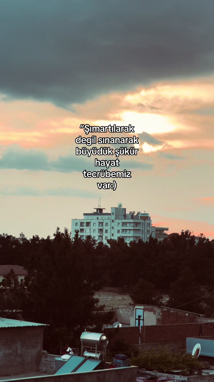 @𝘚𝘵𝘰𝘳𝘺 𝘚𝘢𝘺𝘧𝘢𝘮💫