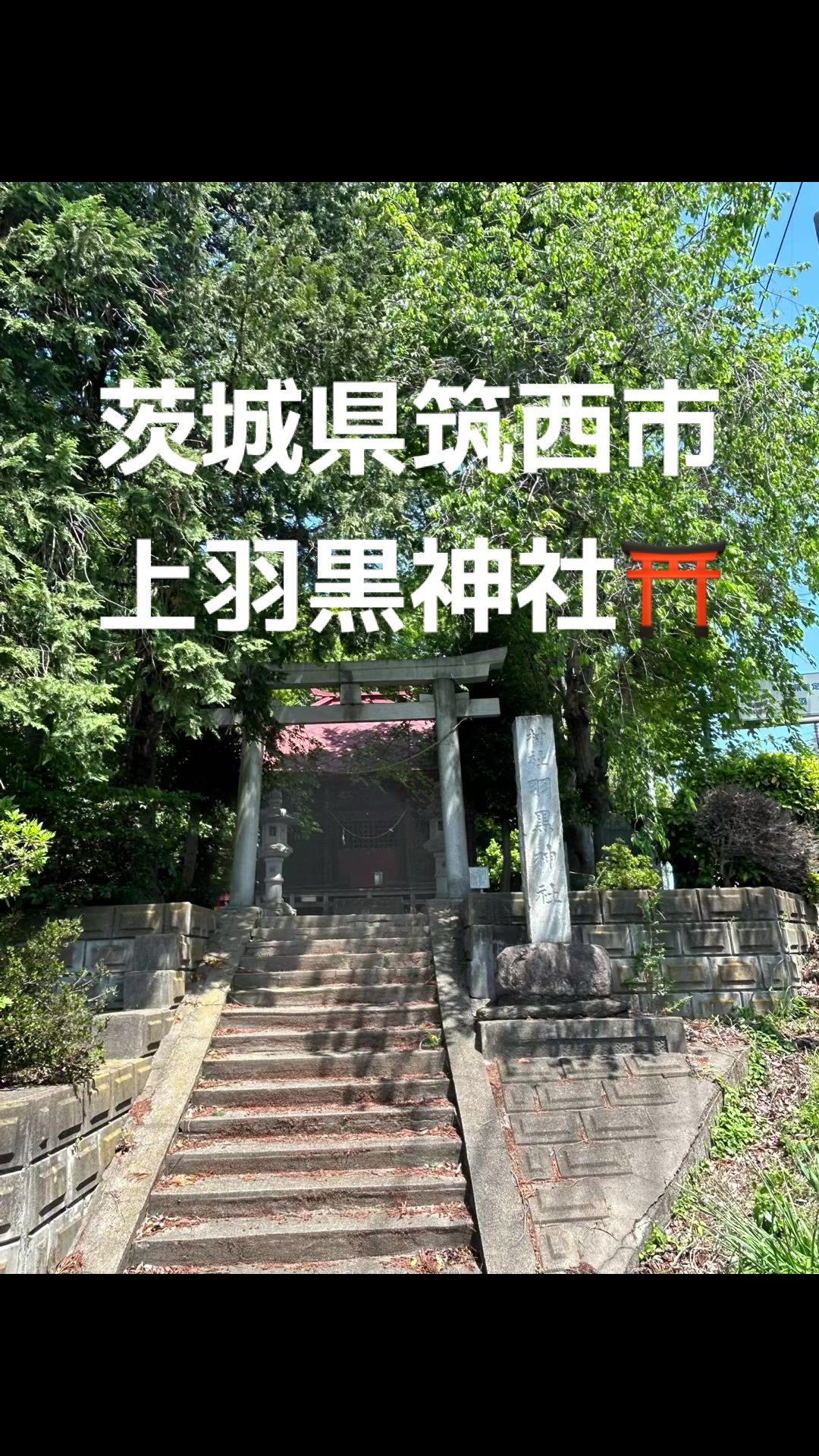 @♡さくらの♡