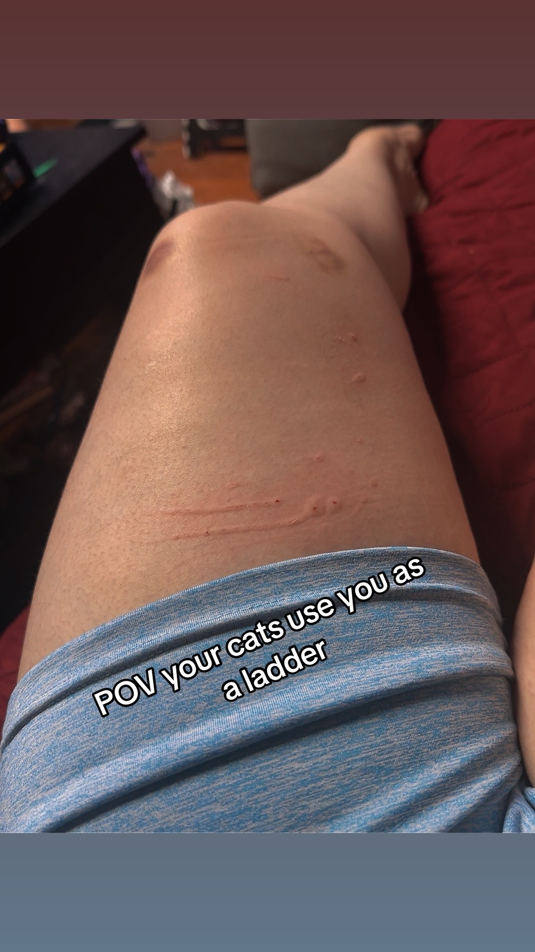 @Mikotheraccoon