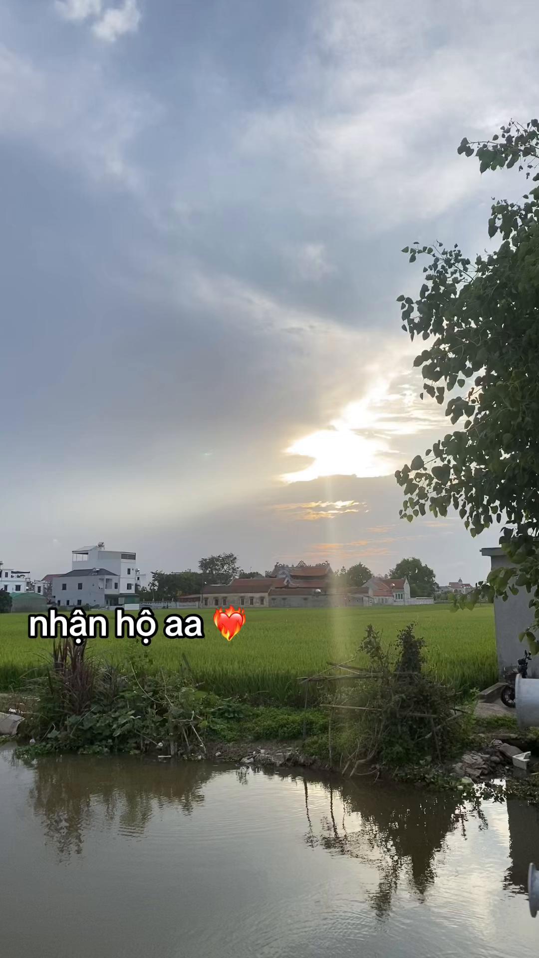 @hi
