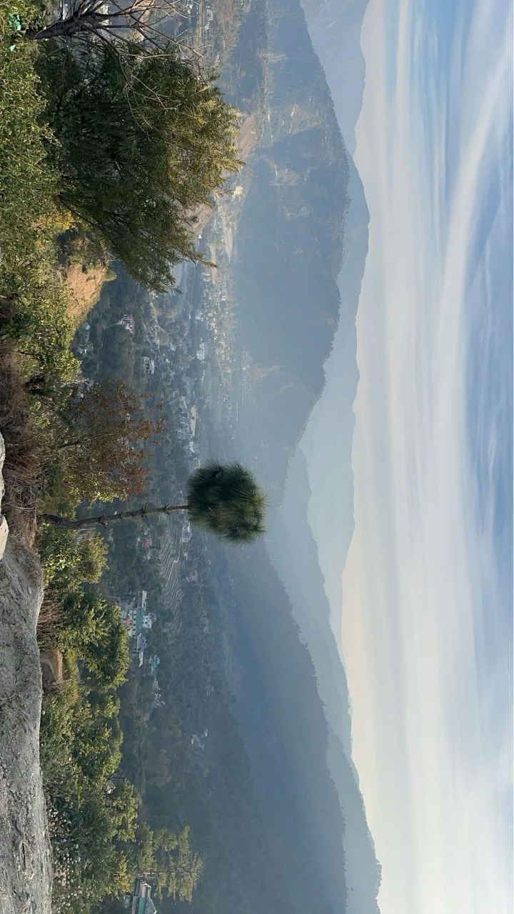 @ALI 🚩