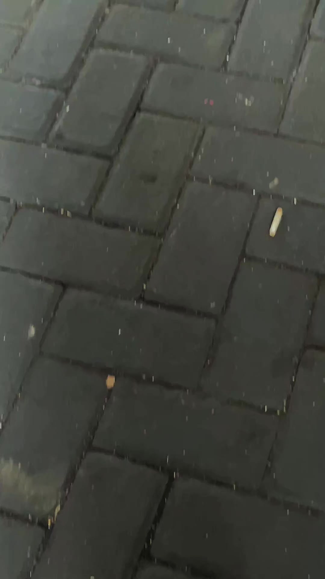@KeplePartShop