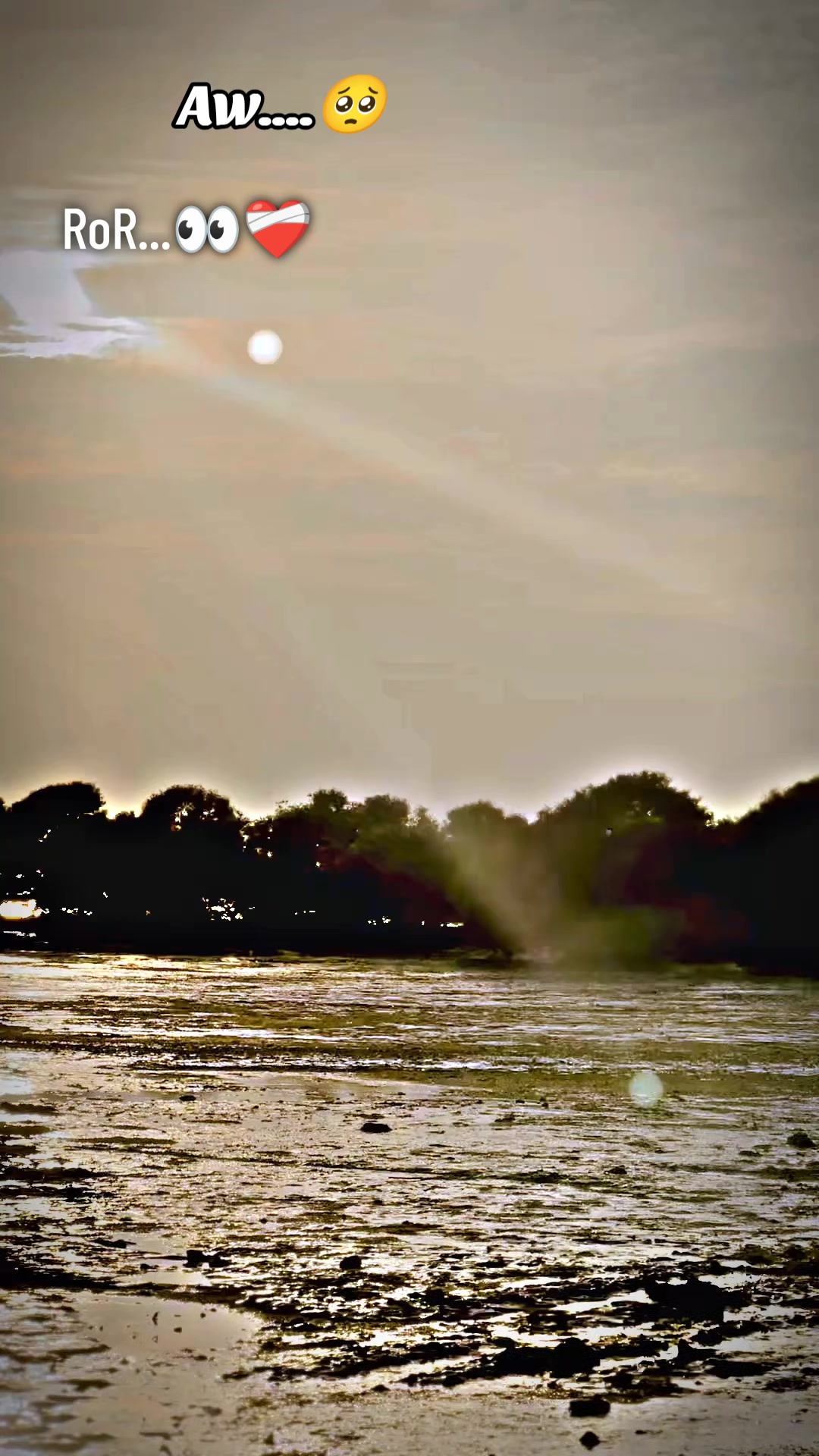 @🇧🇶😎 𝙰𝐊 𝔹𝑹ᴀ𝗡D̶ 🇧🇶317