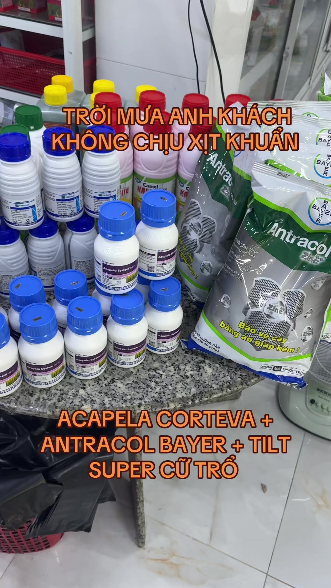 @TH&Iacute;CH TRỒNG C&Acirc;Y 🌱