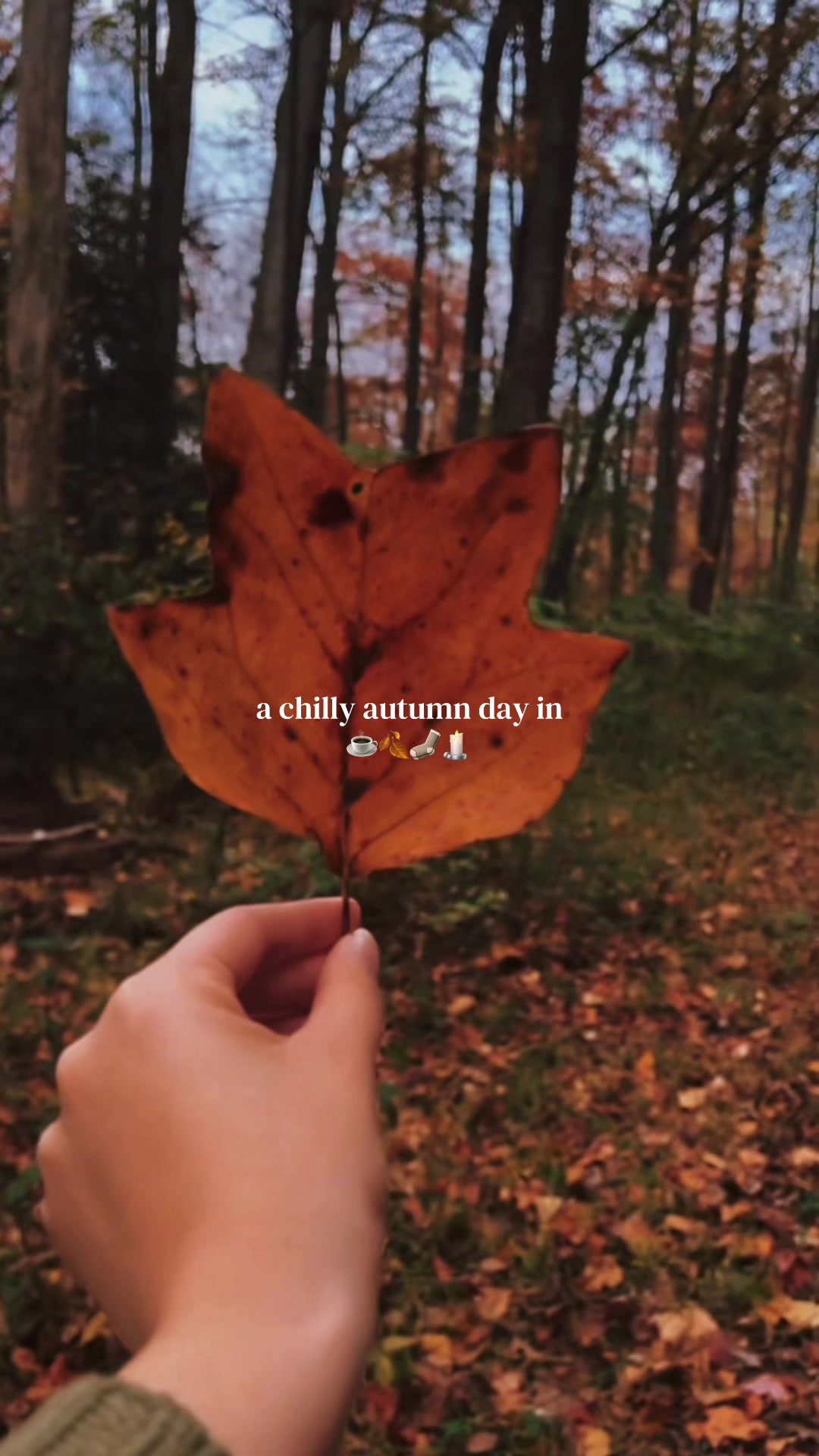@fall.cozy_vibes