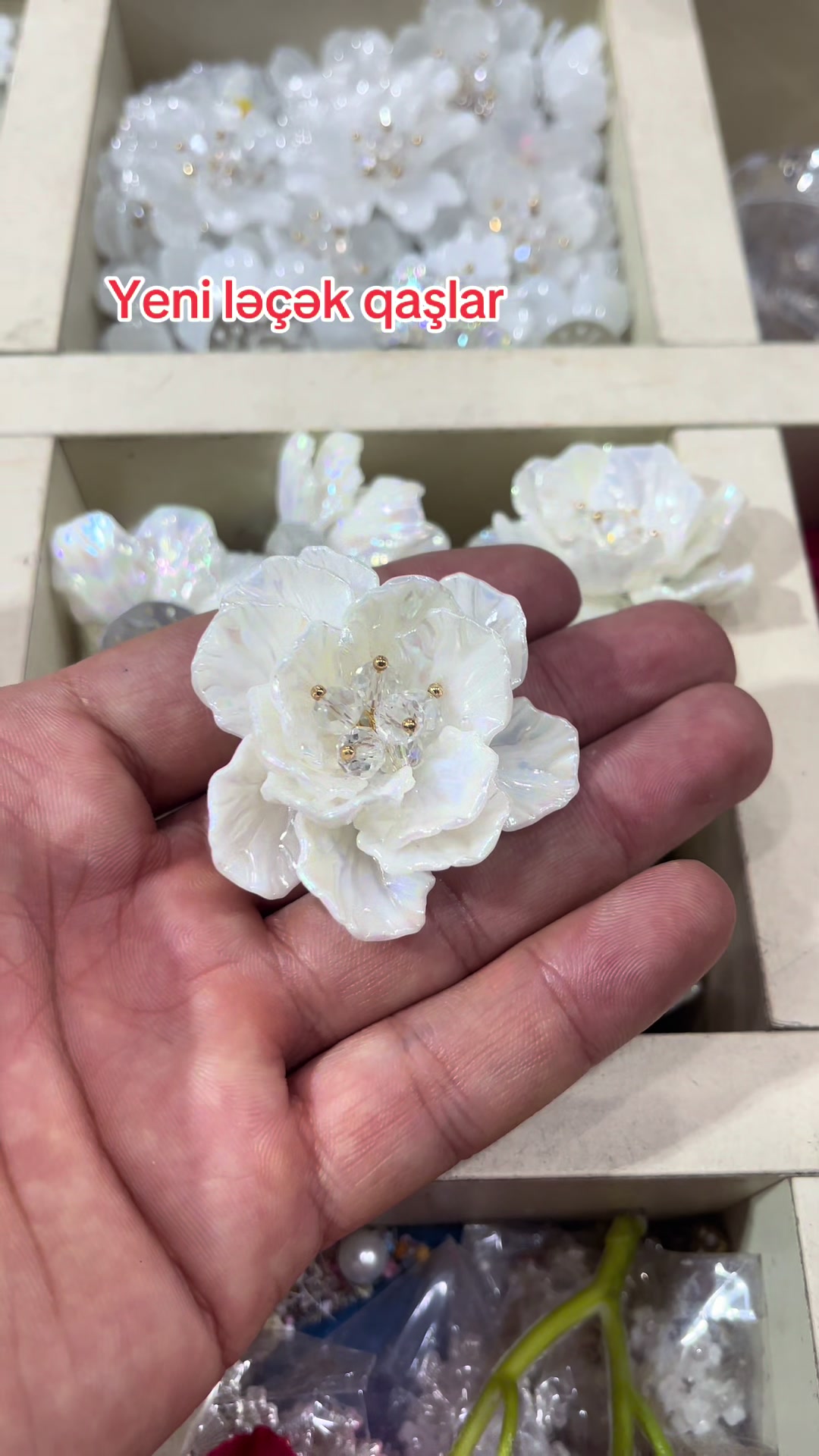 @Qutu_Park