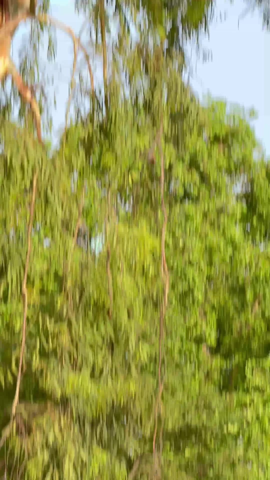 @M.HaSSaN 🇵🇰