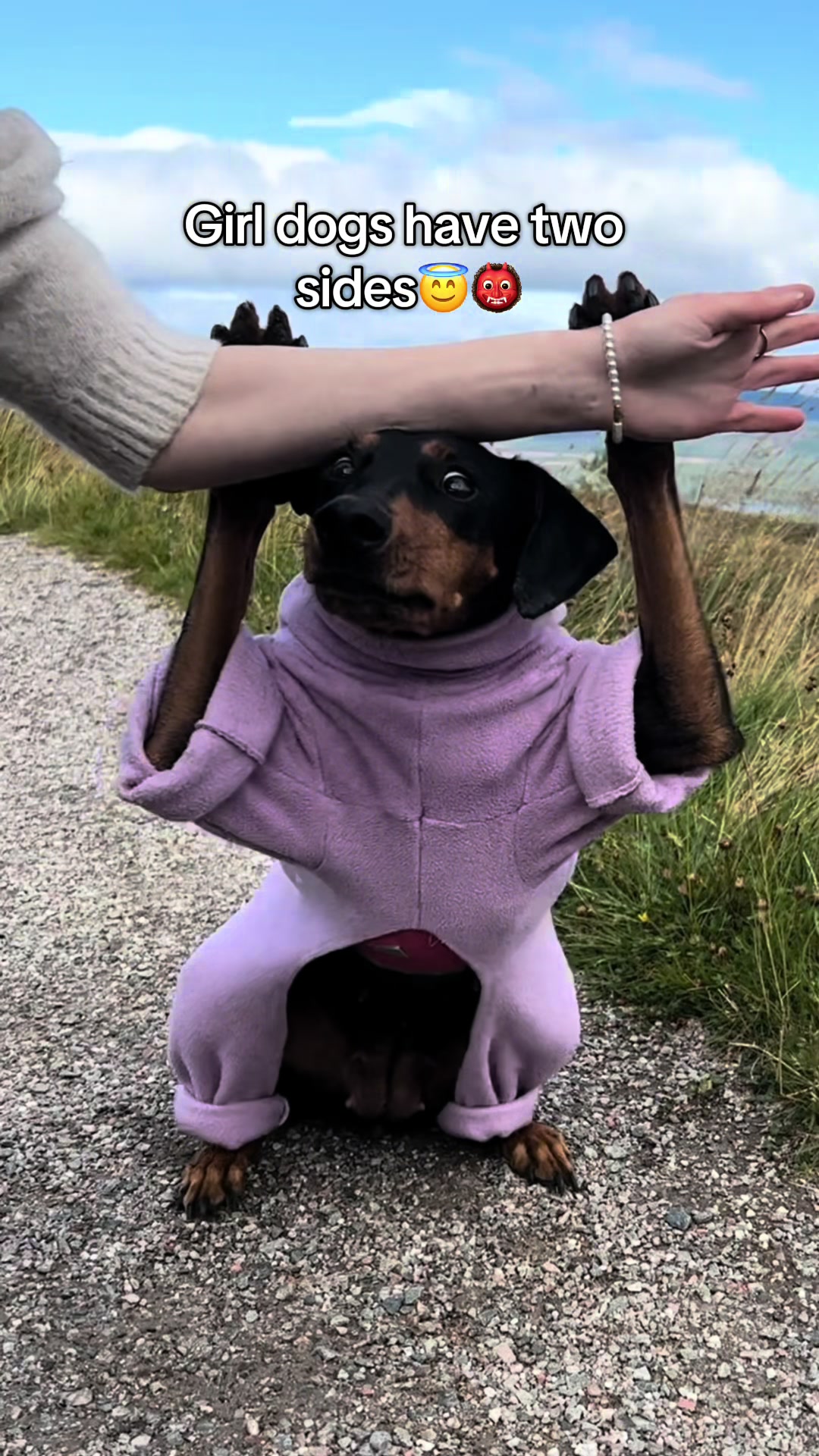 @AlvaTheHotDog