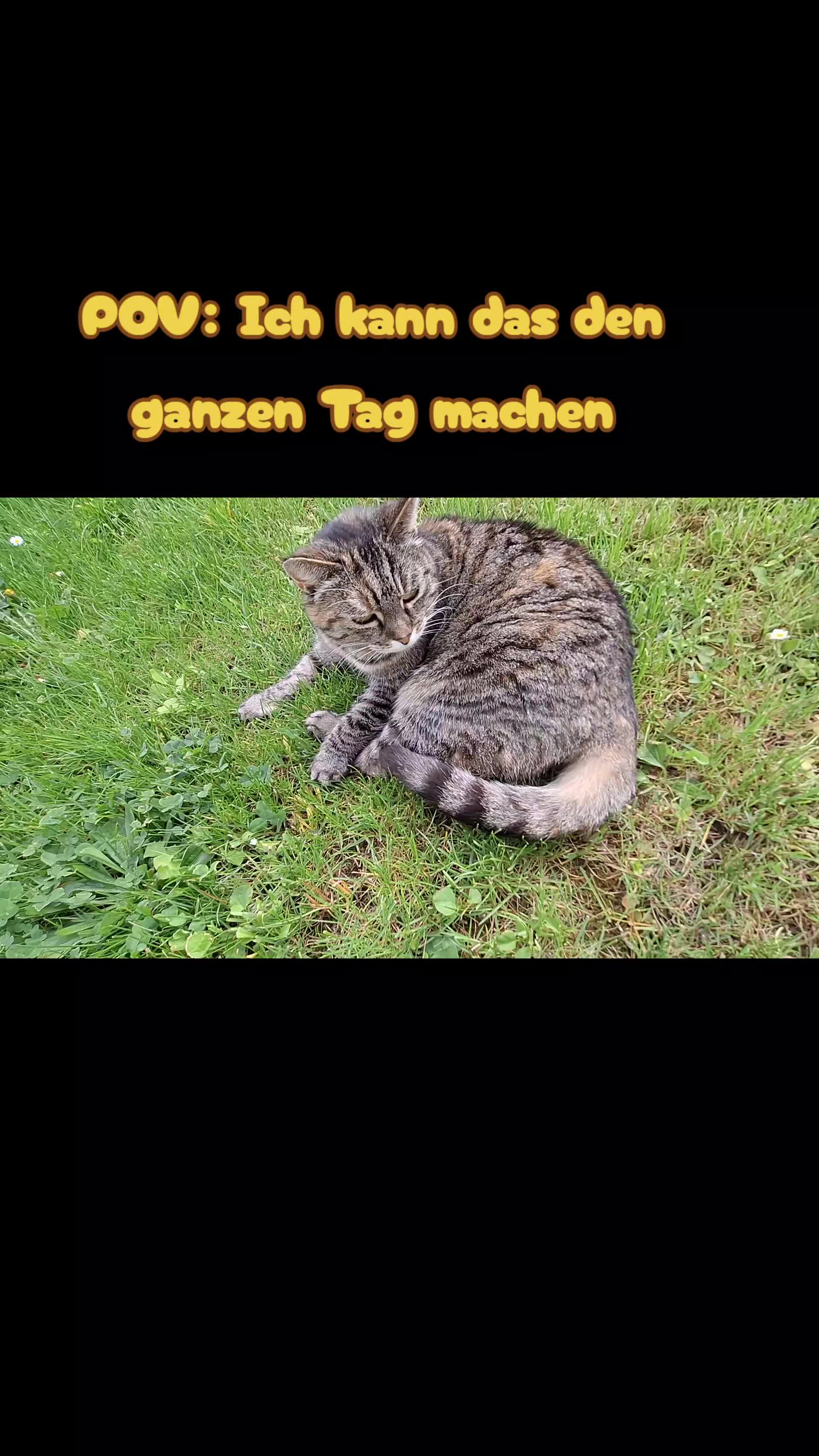 @Susi & der Dosenöffner 🤔🤣