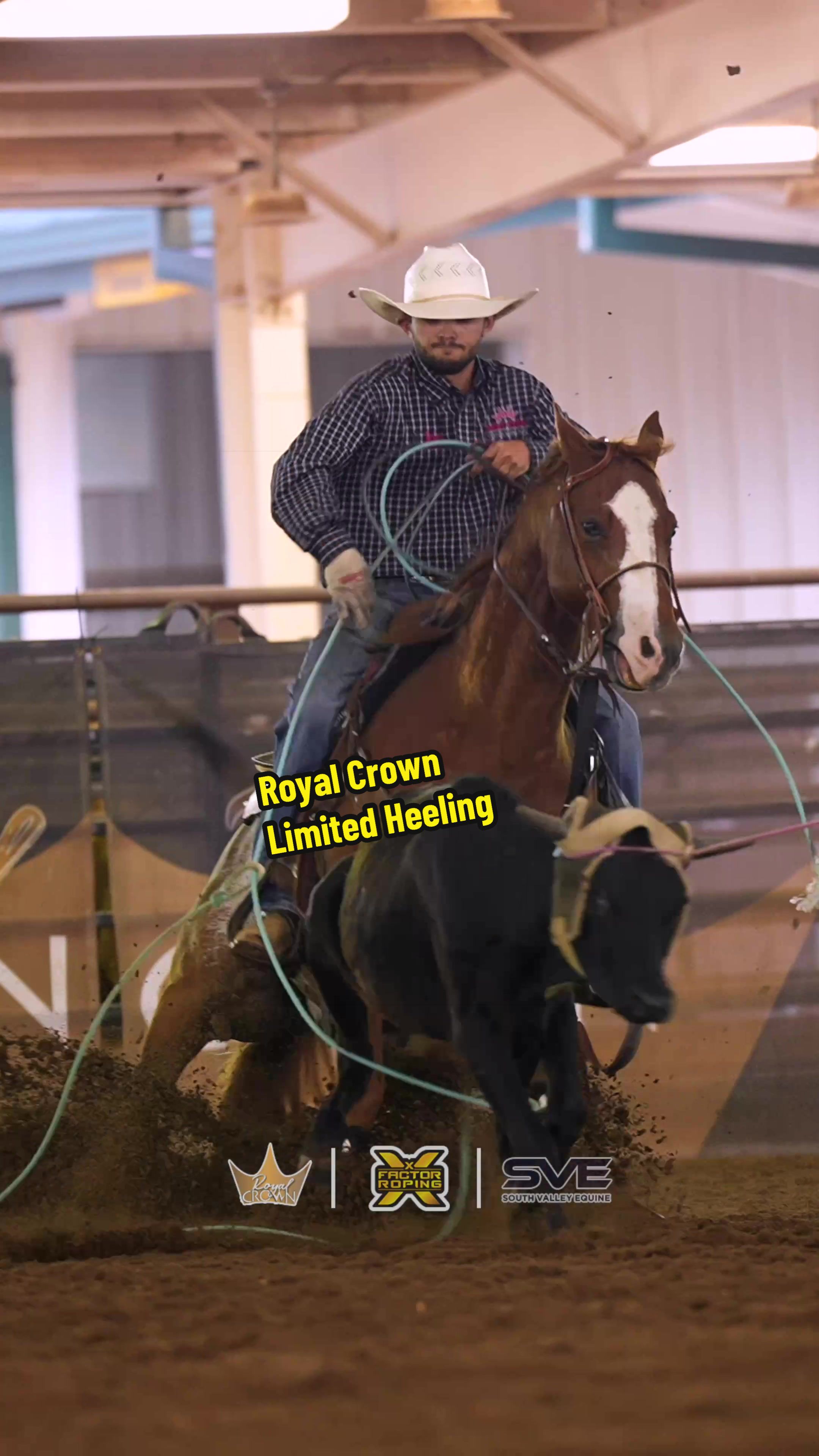 @X Factor Roping