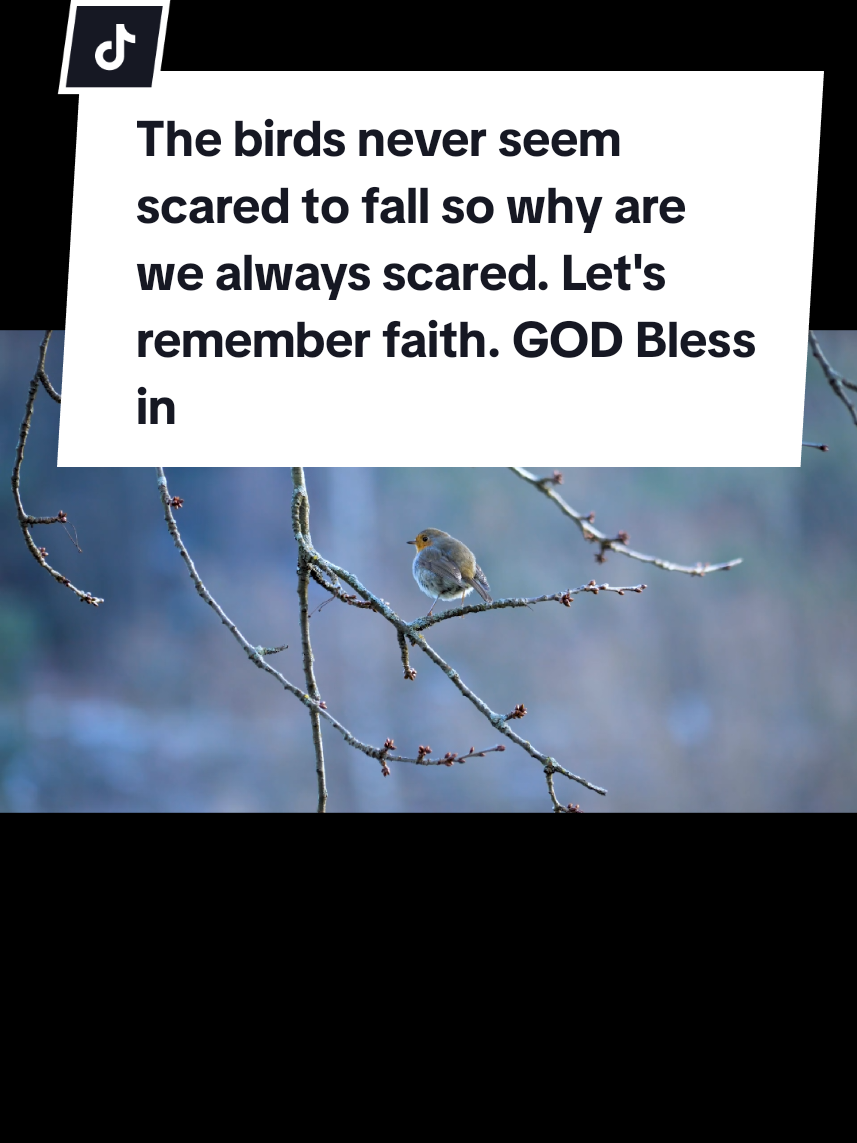 @k.t.a.+Blessed