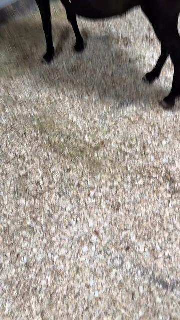 @Dr.Nicole-VetMed