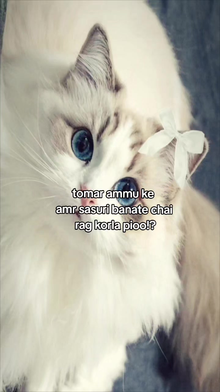 @Ehh?