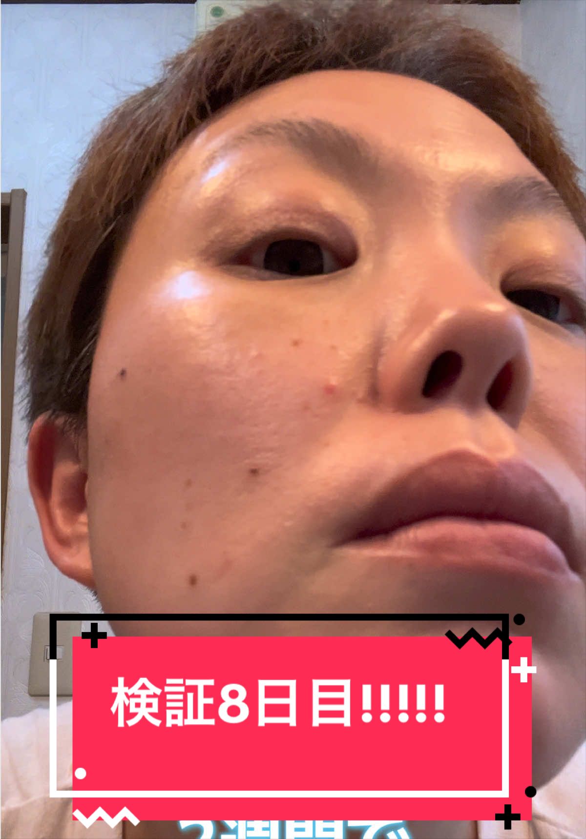 @とらままんち