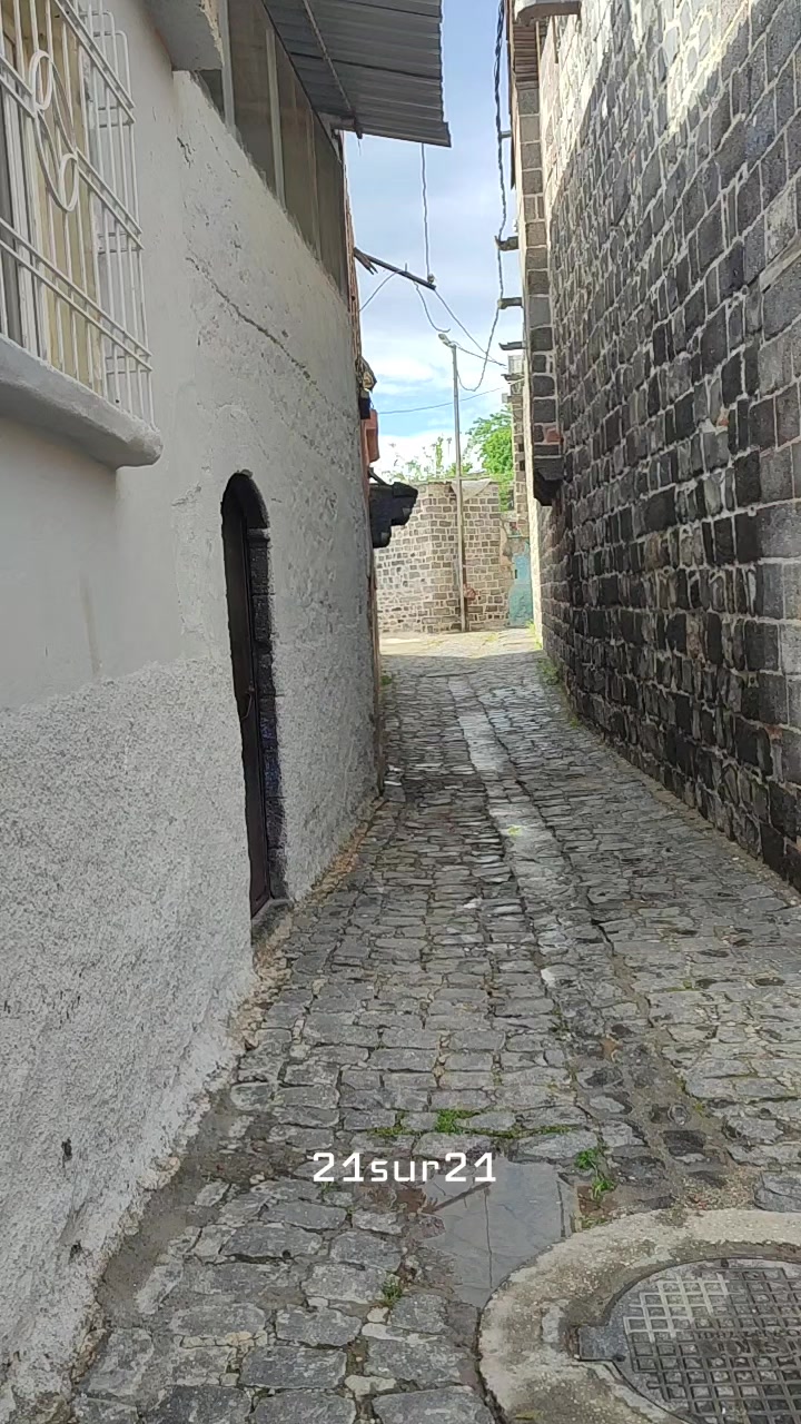 @21_SUR_21