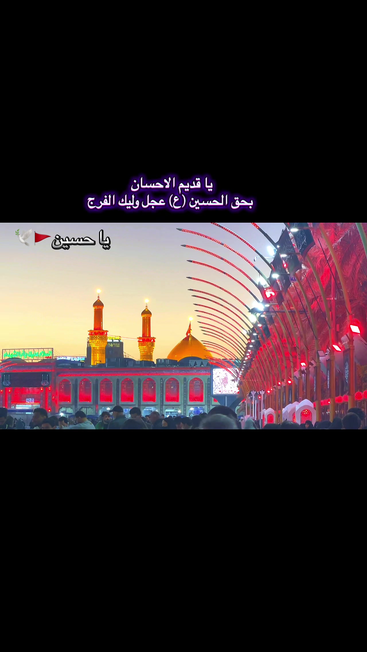 @ރ عشاق✯📿313📿