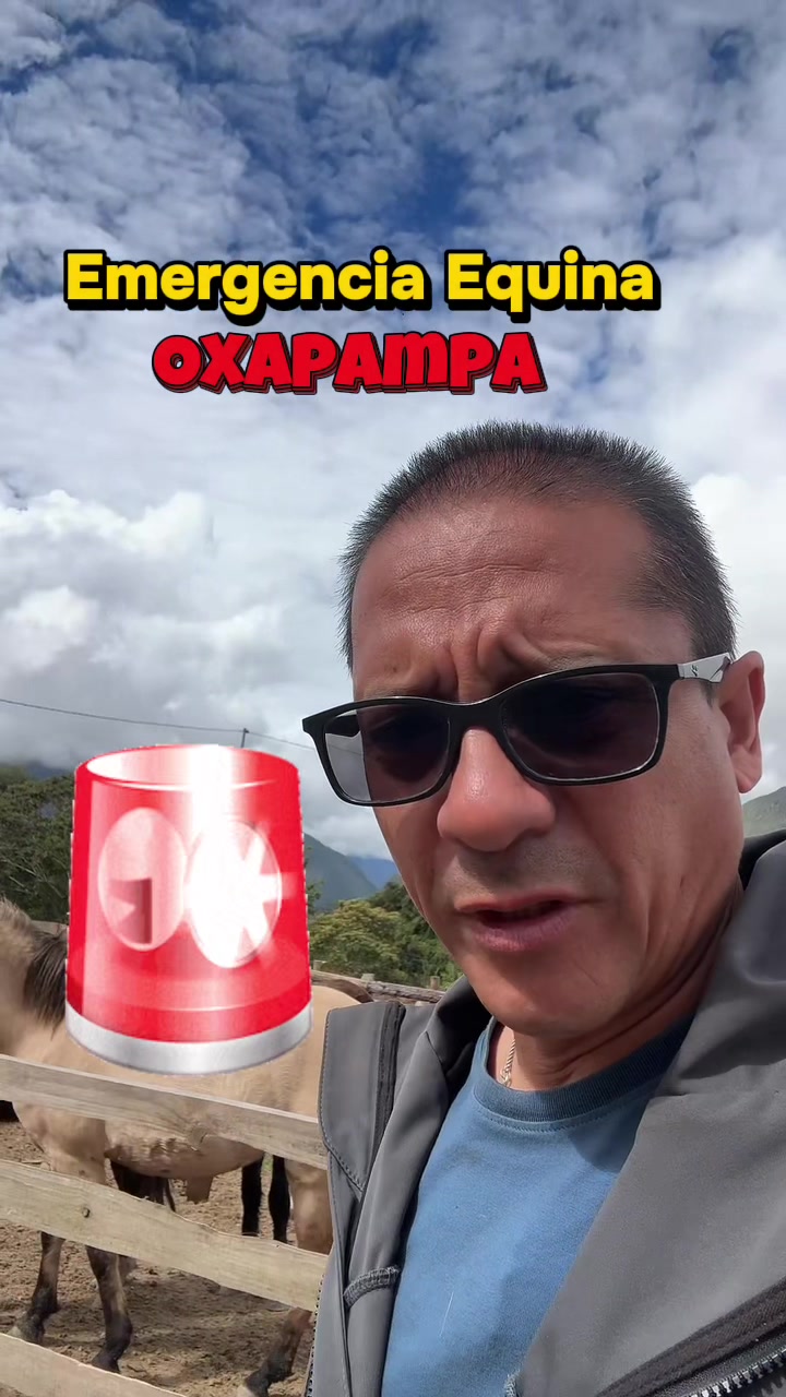 @morcis_en_ruta