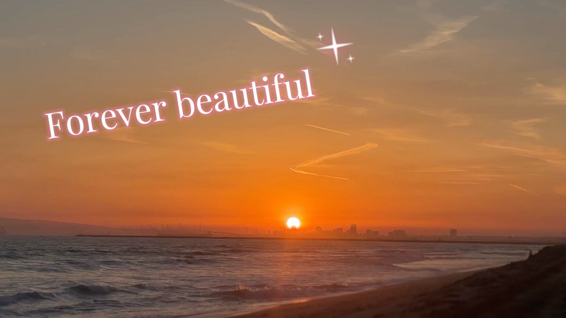 @Faith LaFleur🌸🌻