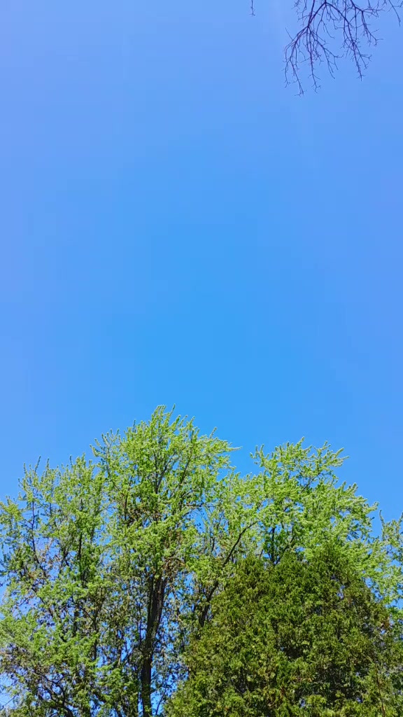 @💞 لاڈلی گجرات کی 💞