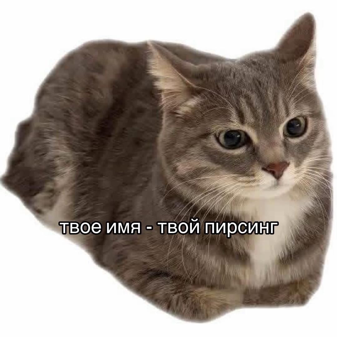 @Пирсинг Линчик@Симферополь