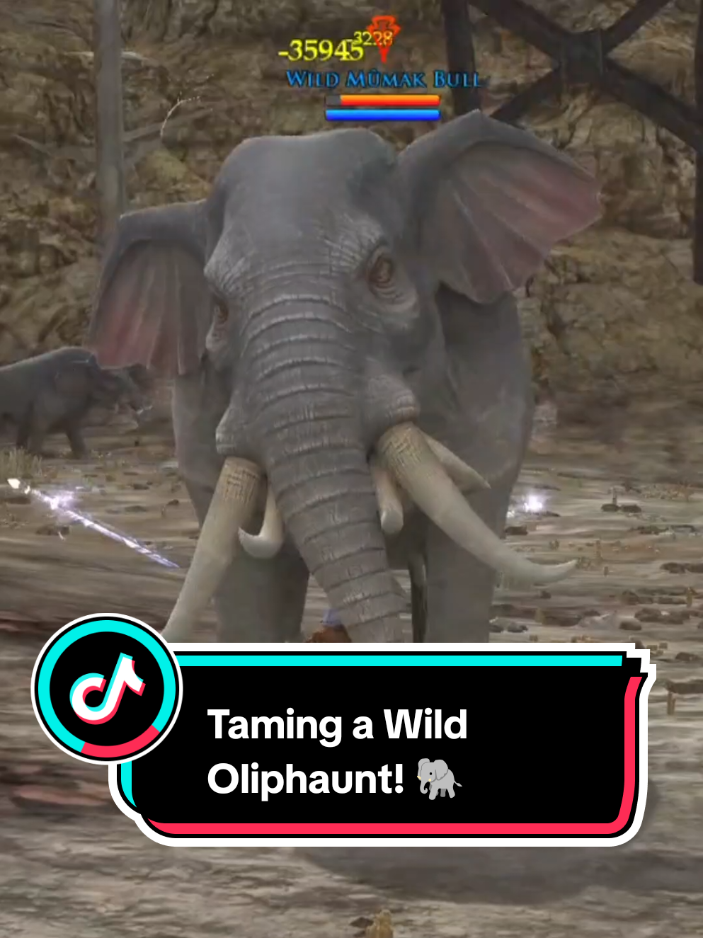 @raphaelol | LiterallyLOTRO
