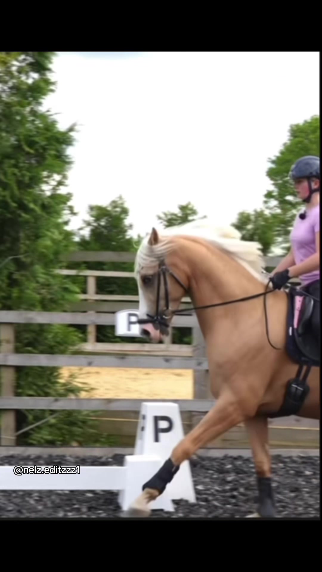 @Naomi🐴✌️(Freya’s version )