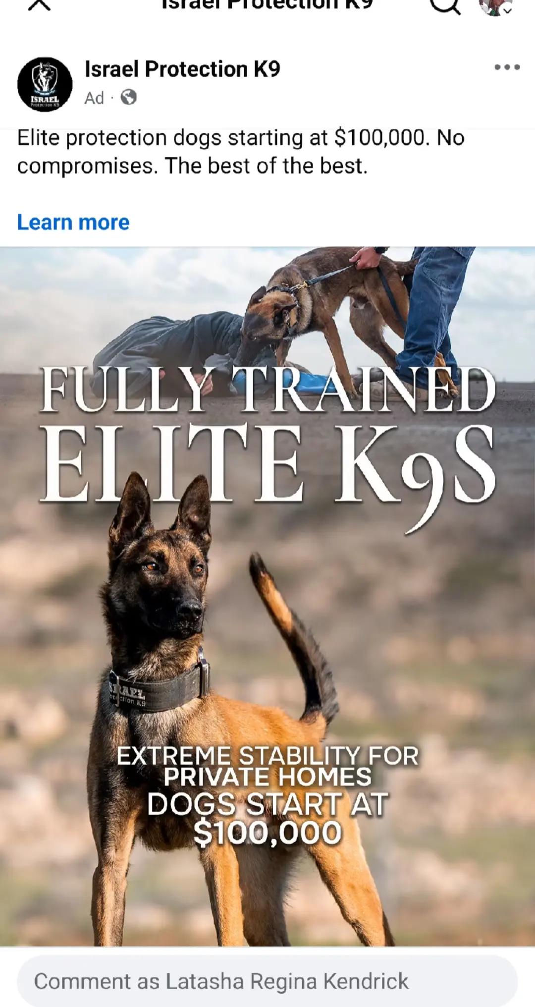 @Kendrick Kennels