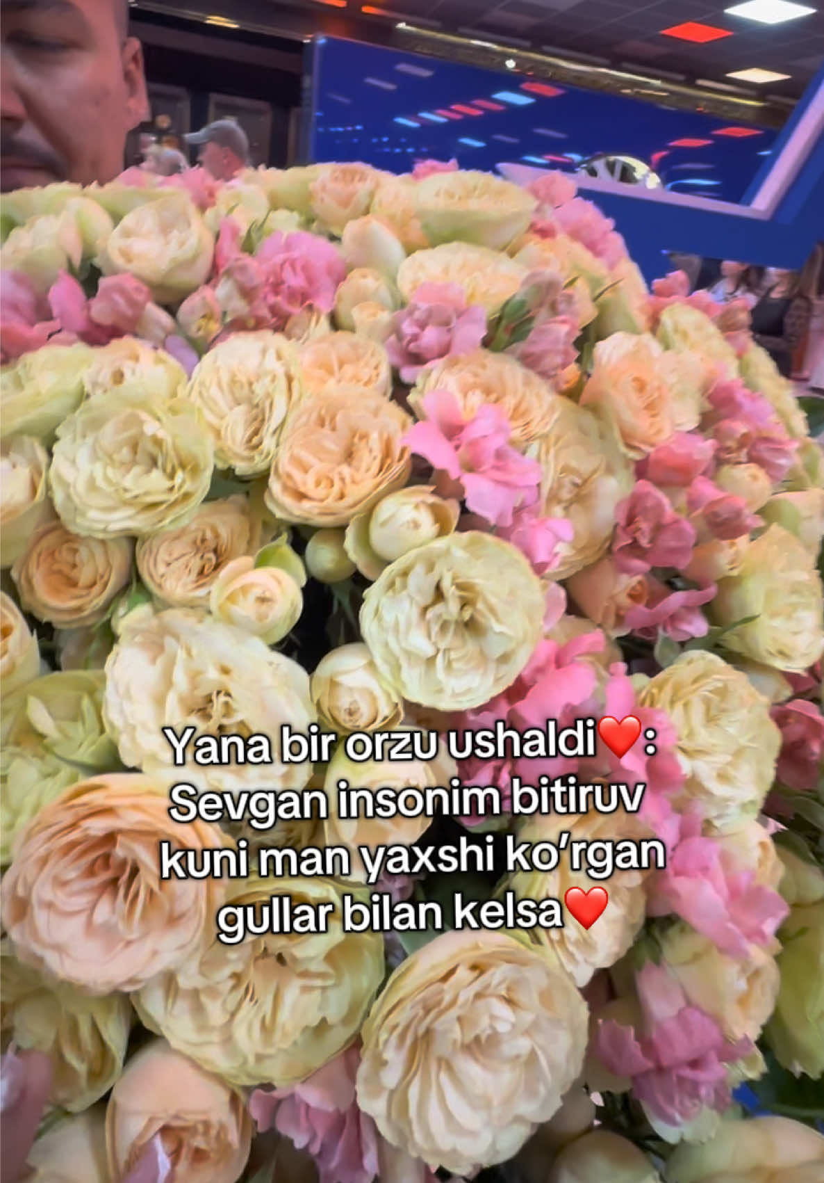 @dearmokhi_