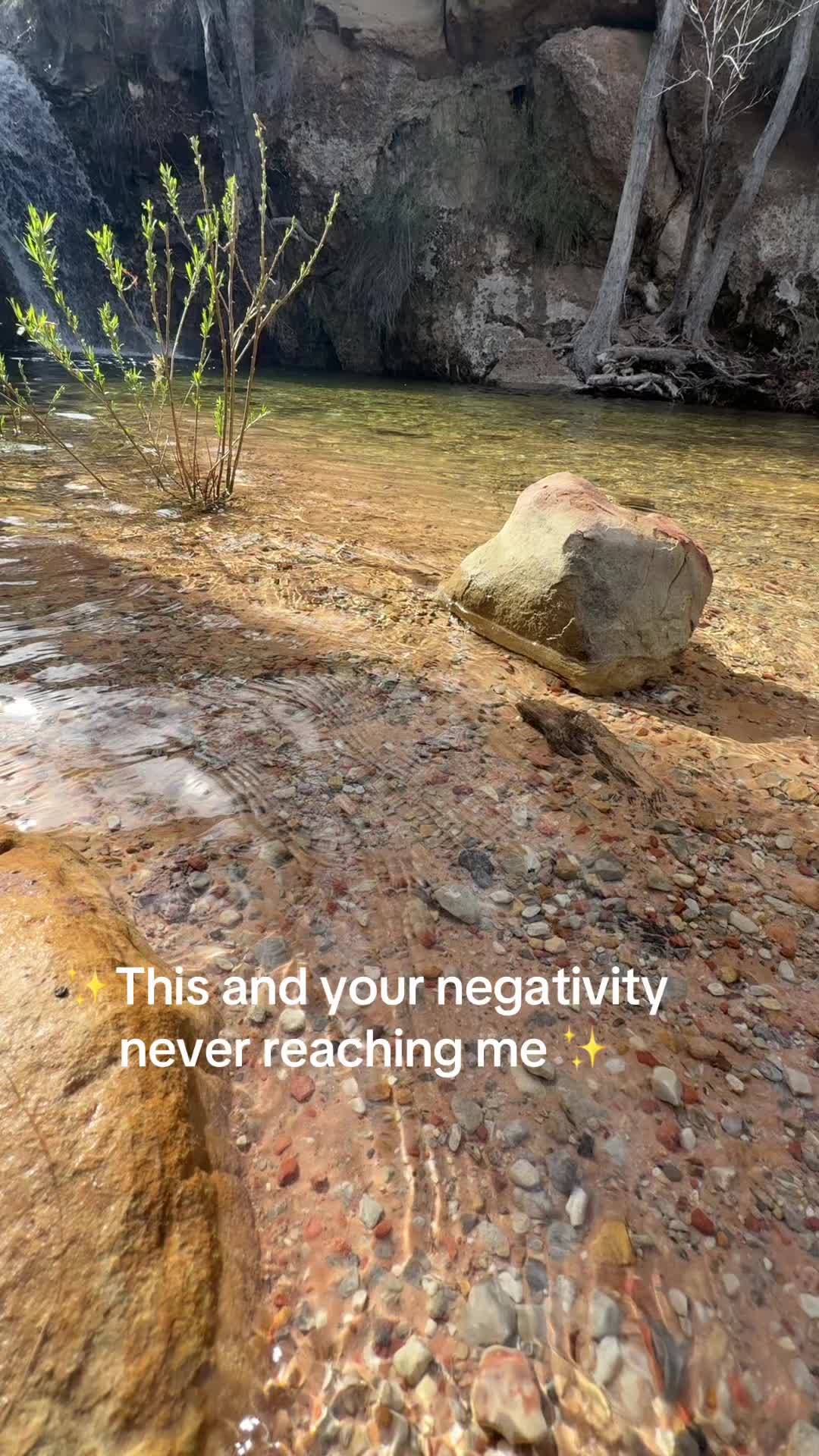 @Nona🦋🏳️&zwj;🌈