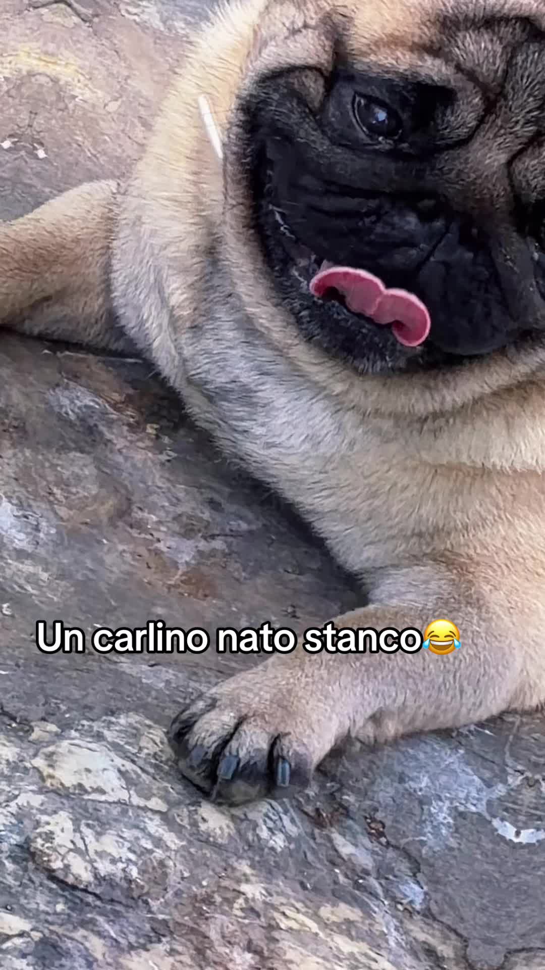 @Federica Fileccia🌹