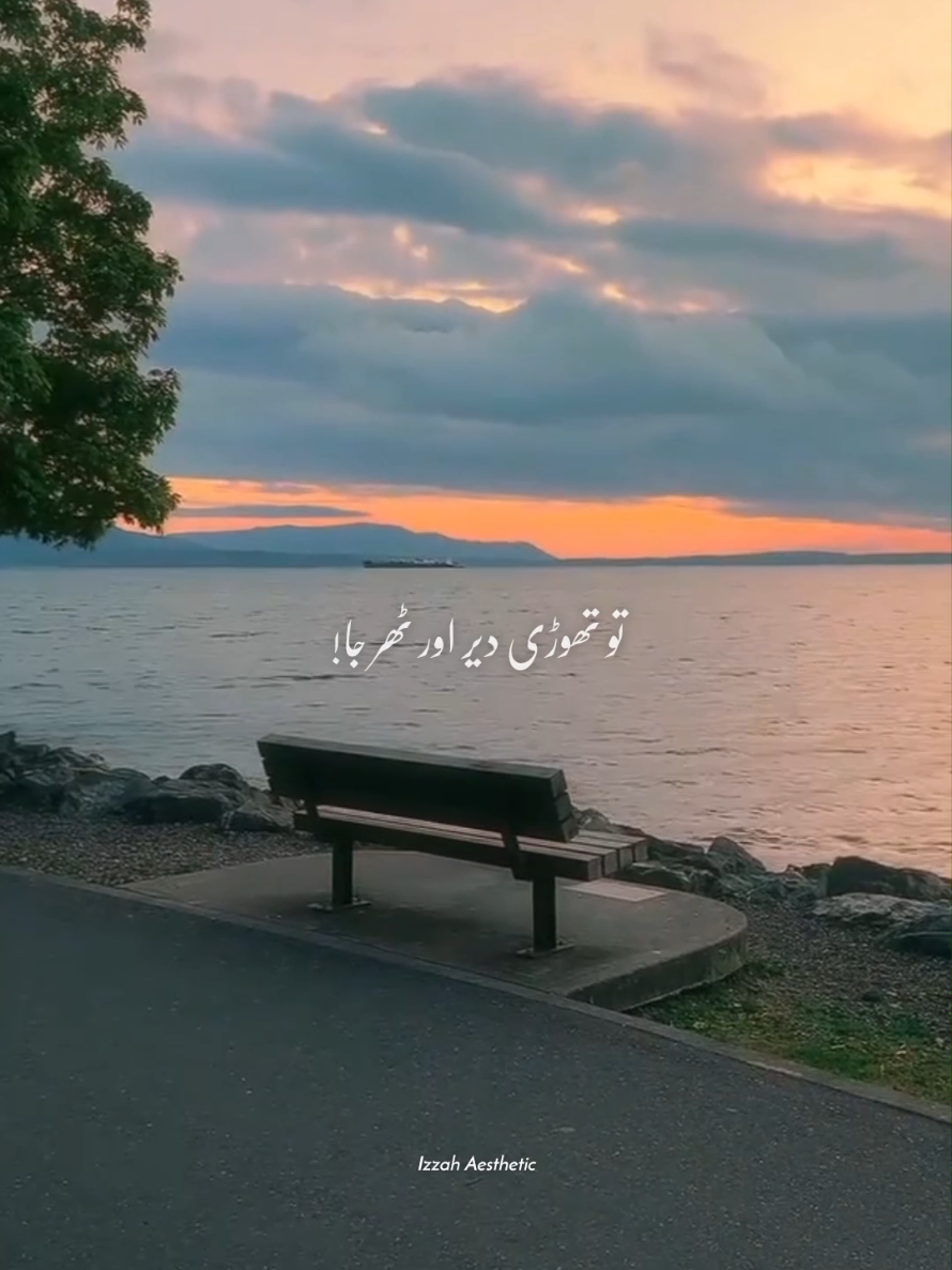@𝙄 𝙕 𝙕 𝘼 𝙃 🕊️&bull;