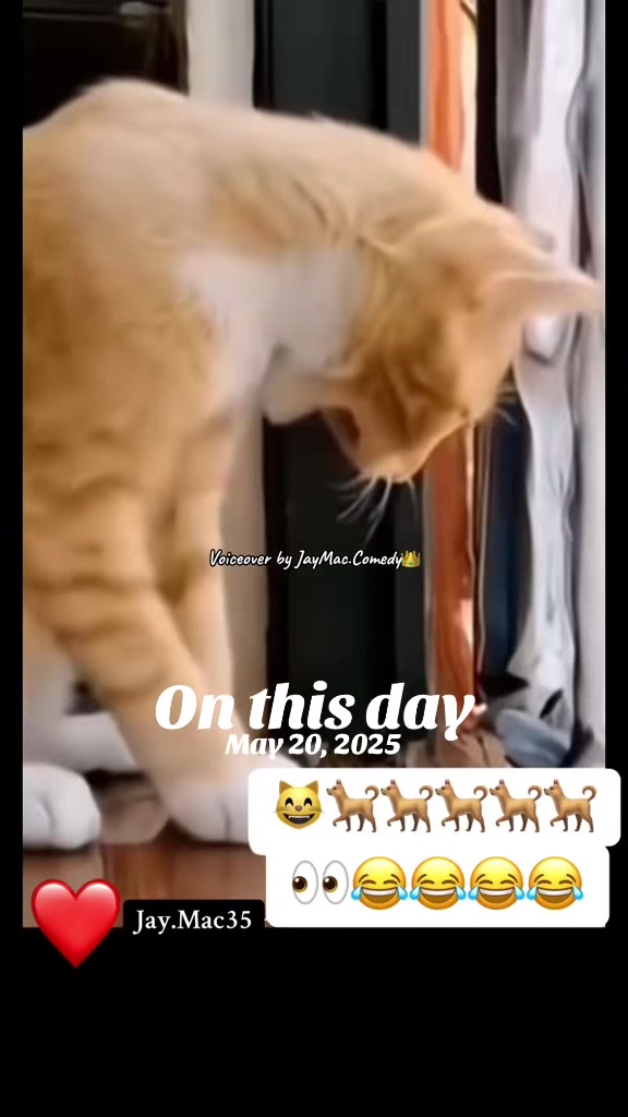 @JayMacComedy