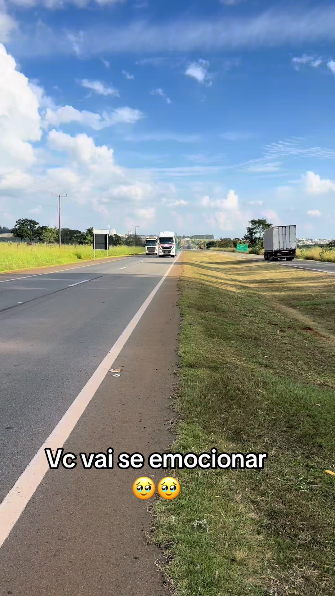 @Nan&aacute; e Dandan